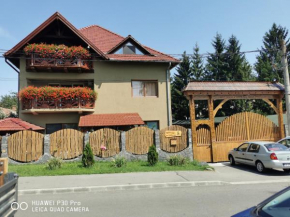 Sepsi Relax Sfintu Gheorghe